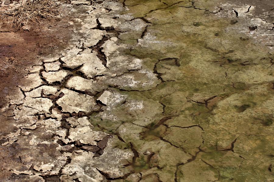 Primordial Soup Photograph By Bob Wall - Fine Art America