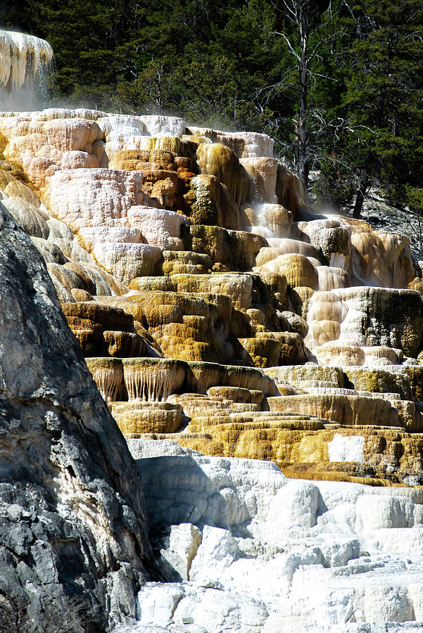 Travertine Terraces, Mammoth Hot Springs, Yellowstone #35 Photograph by Alex Grichenko