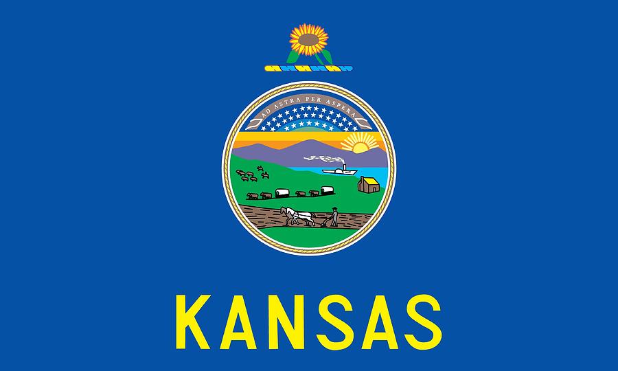 3516596 Kansas state flag Photograph by Encyclopaedia Britannica UIG ...