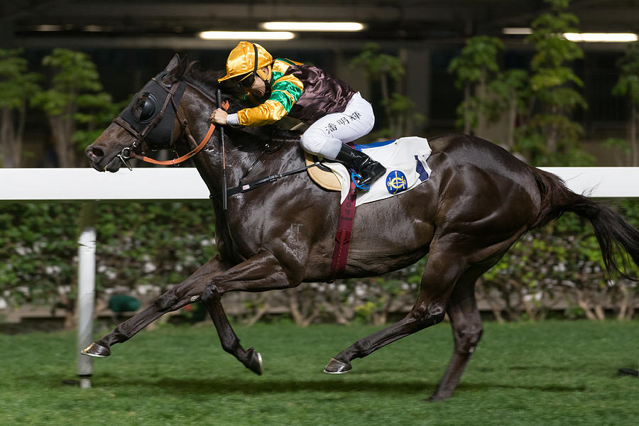 Horse Racing in Hong Kong - Happy Valley Racecourse #357 Photograph by Lo Chun Kit