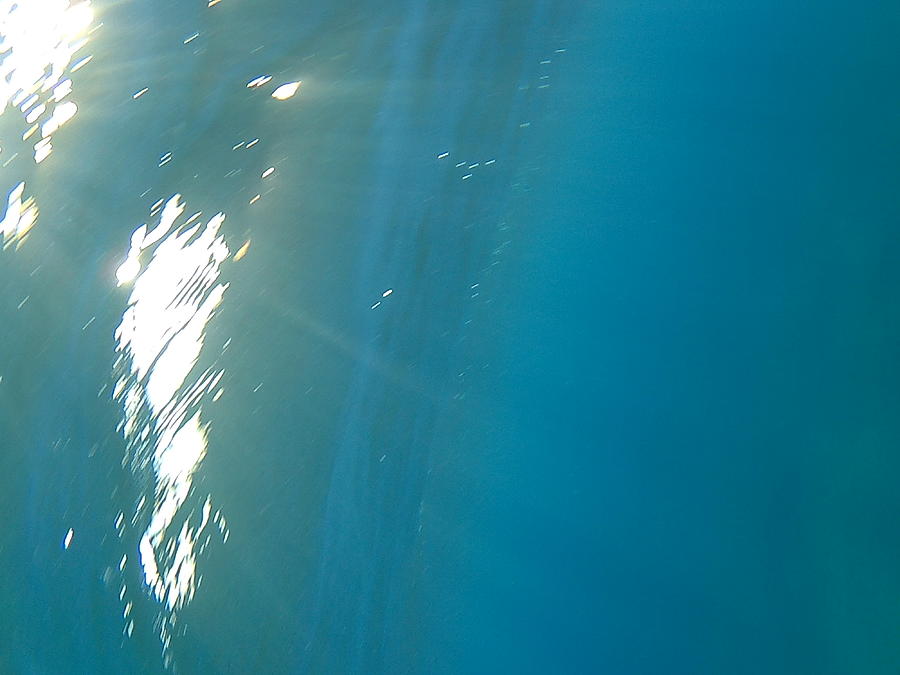 Giannisxenos Underwater Photography Photograph