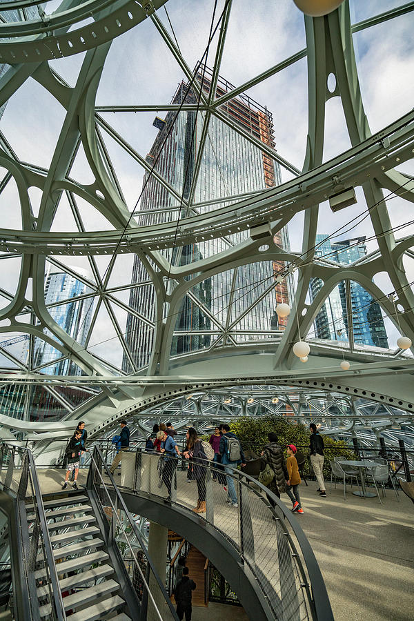 Amazon Spheres #36 Photograph by Tommy Farnsworth