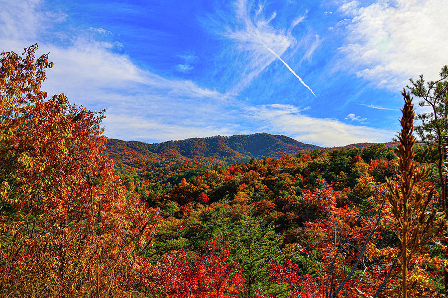 Fall 2021 Photograph by Melissa Traub - Fine Art America