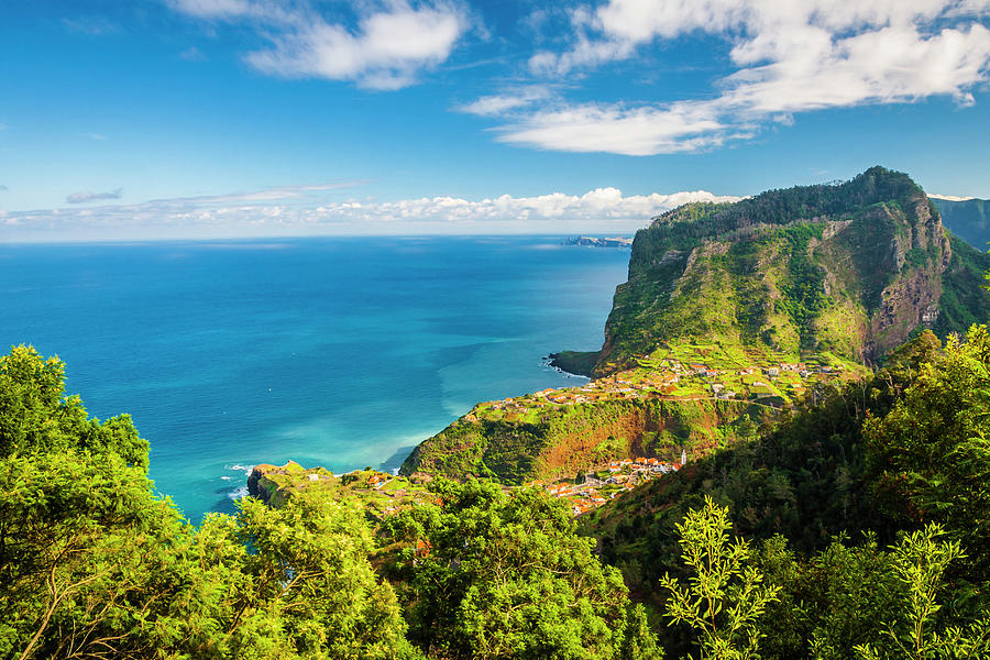 Madeira Photograph by Halina Jasinska - Fine Art America