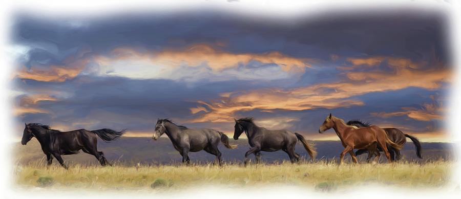 Wild Horses #36 Photograph by Laura Terriere