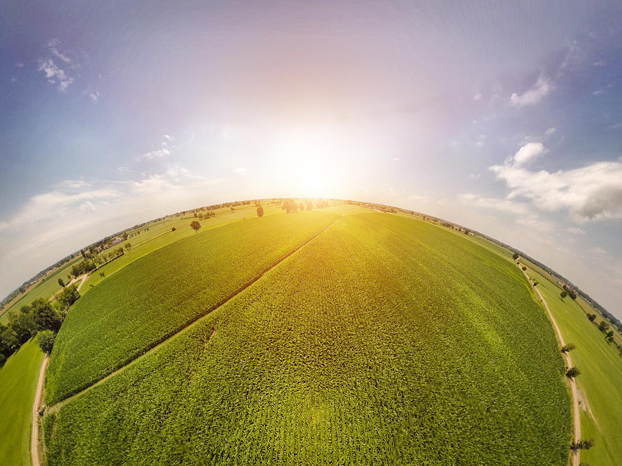 360° Panoramic View Of Corn Fields With Sunlight Photograph by PJPhoto69
