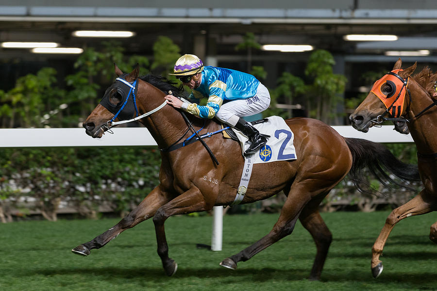 Horse Racing in Hong Kong - Happy Valley Racecourse #361 Photograph by Lo Chun Kit
