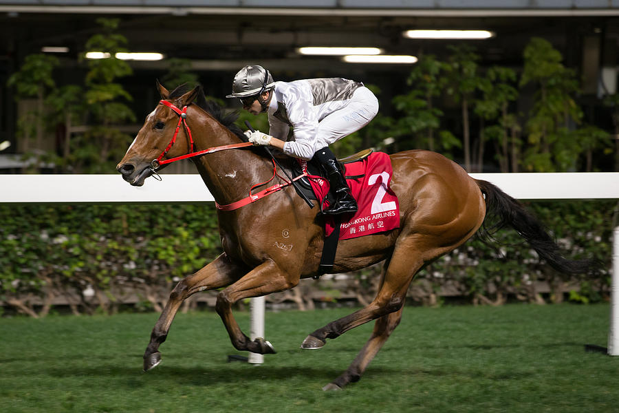 Horse Racing in Hong Kong - Happy Valley Racecourse #362 Photograph by Lo Chun Kit