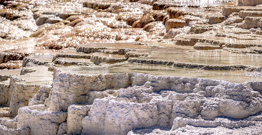 Travertine Terraces, Mammoth Hot Springs, Yellowstone #37 Photograph by Alex Grichenko
