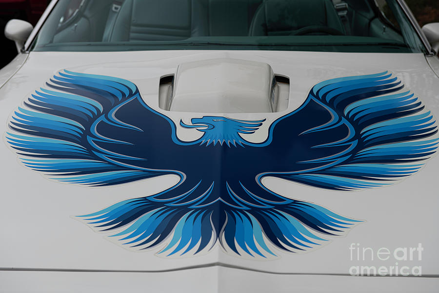 Trans-AM - 1979 Pontiac -  Blue Bird  Photograph by Dale Powell