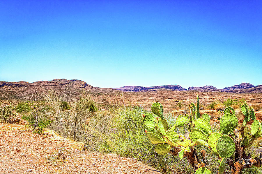 Apache Trail Scenic Drive View Photograph by Gestalt Imagery - Fine Art ...