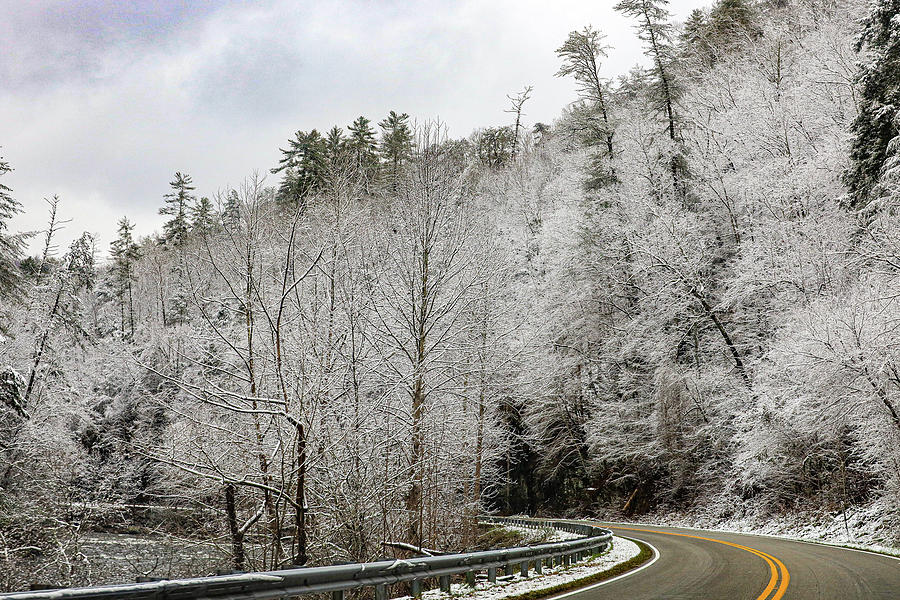 First Snow 2022 Photograph by Melissa Traub - Fine Art America