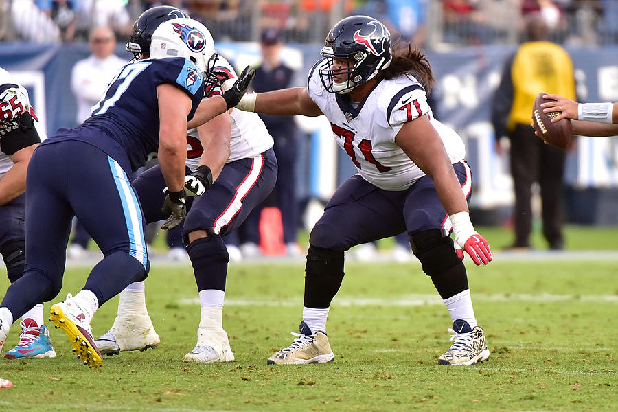 Houston Texans v Tennessee Titans #38 Photograph by Frederick Breedon