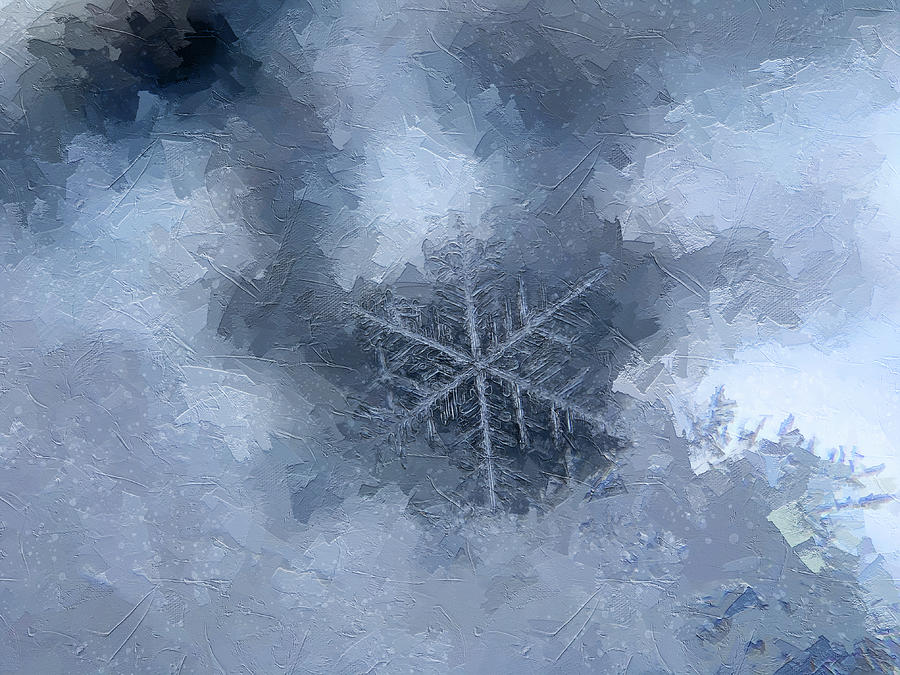 Winter Story #38 Digital Art by TintoDesigns