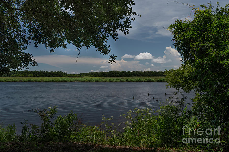 Ashley River View From Middleton Place Plantation In Charleston Photograph