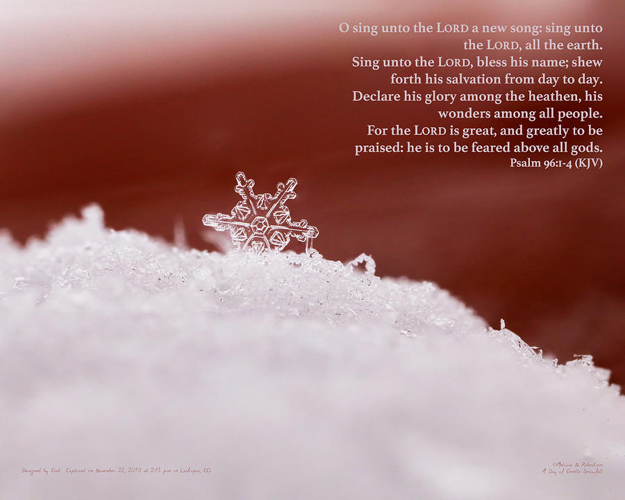 Inspirational Real Life Snowflake Photograph Bible Verse Scripture ...