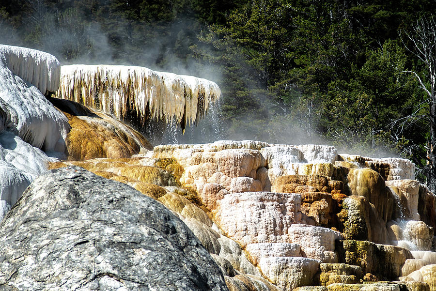 Travertine Terraces, Mammoth Hot Springs, Yellowstone #39 Photograph by Alex Grichenko