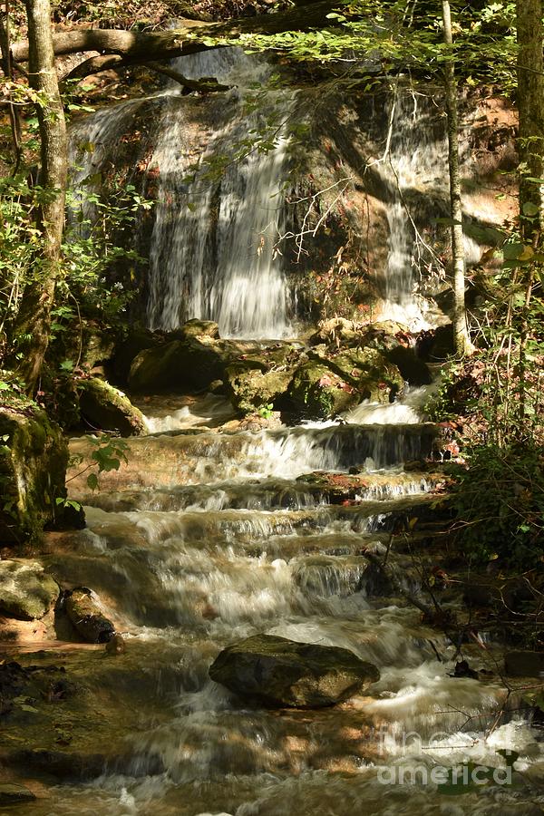 Waterfall in the Forest #39 Photograph by Tonya Hance
