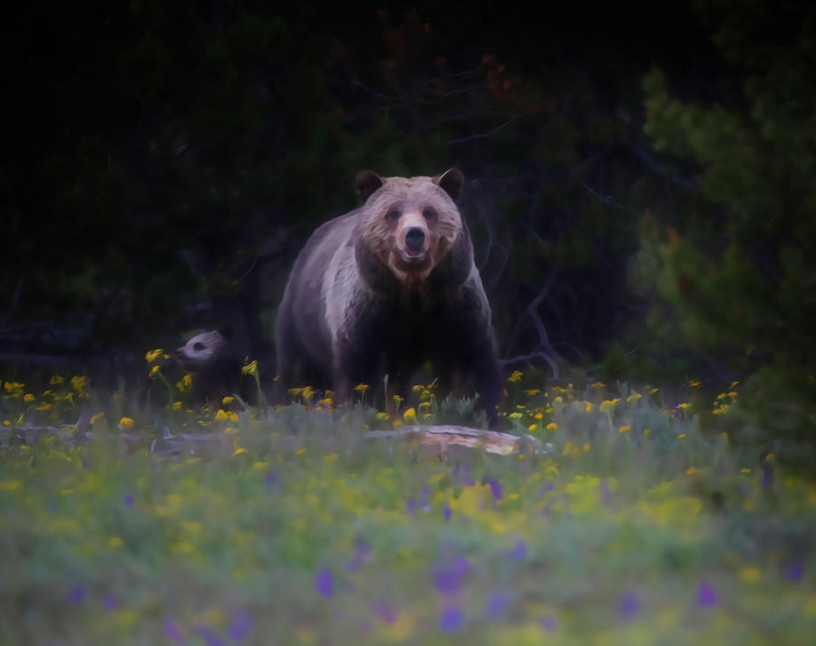 399 Grizzly And Cub In Spring Painting by Dan Sproul