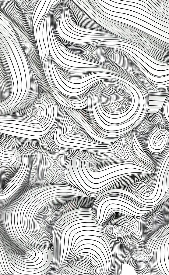 3D Line Art - black and white shapes No2 Digital Art by Bonnie Bruno