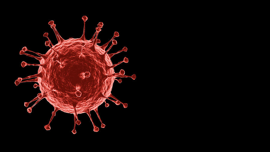 3D rendering Microscopic illustration of the spreading 2019 corona virus or Covid-19 on alpha layer black Background Photograph by MR.Cole_Photographer