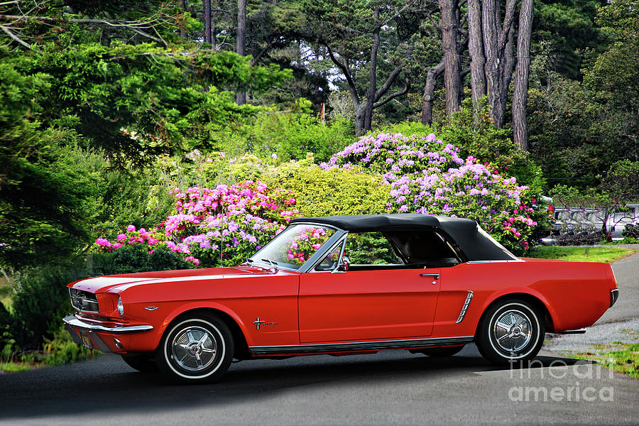 1965 Ford Mustang Convertible #4 Photograph by Dave Koontz