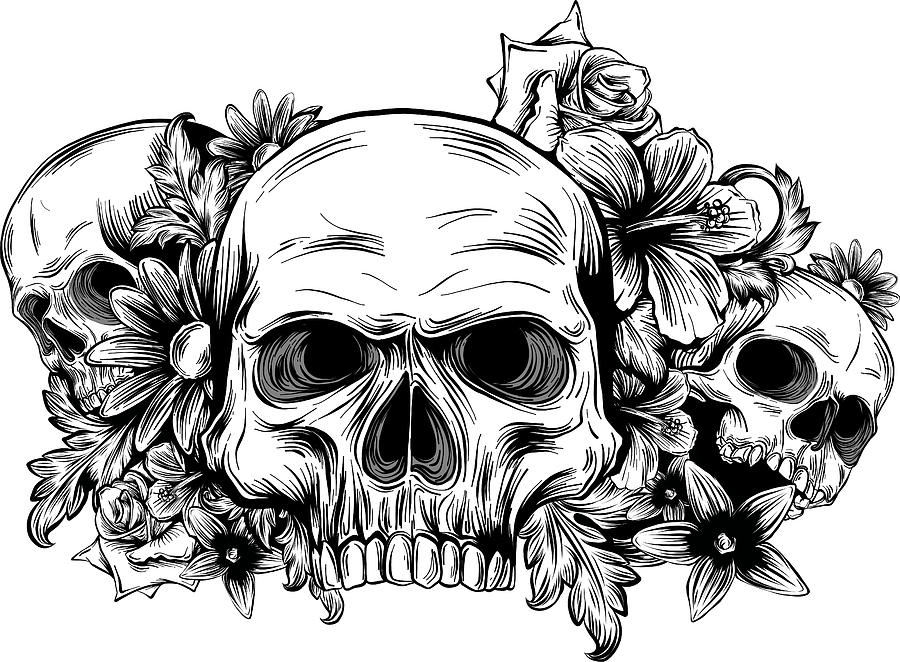 A human skulls with roses on white background Digital Art by Dean ...