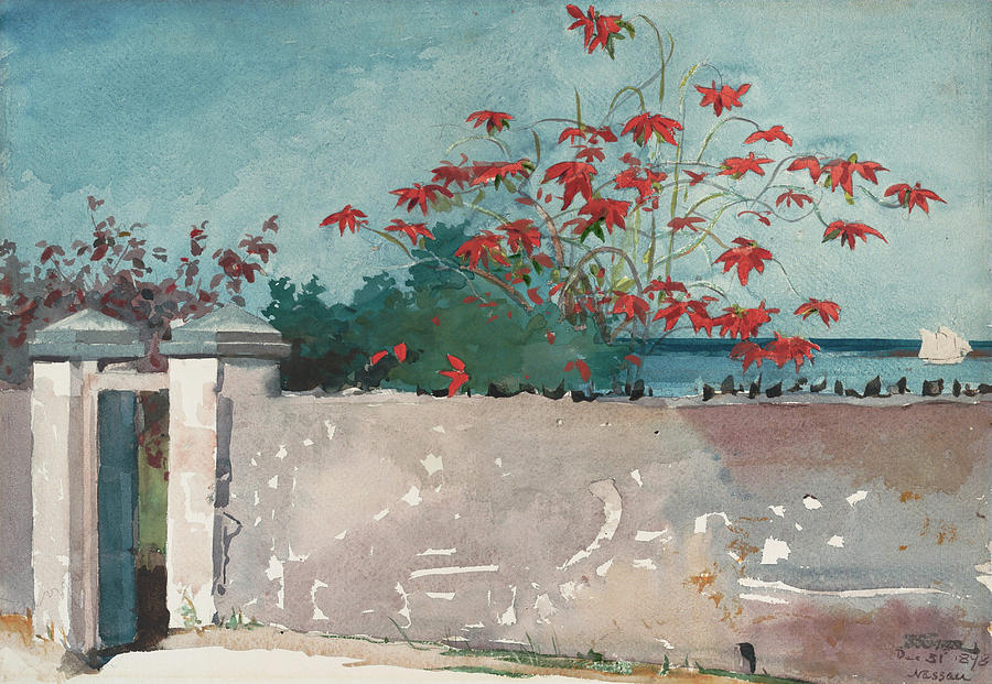 Winslow Homer Painting - A Wall, Nassau #4 by Winslow Homer
