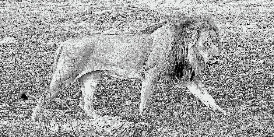 African Lion #4 Digital Art by Larry Linton