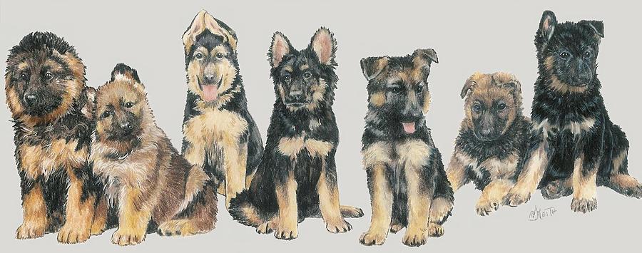 German Shepherd Puppies Mixed Media by Barbara Keith