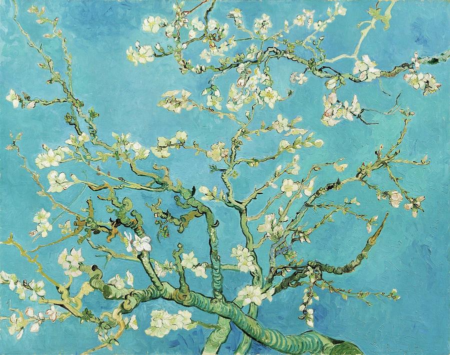 Almond Blossoms Painting by Vincent van Gogh - Fine Art America