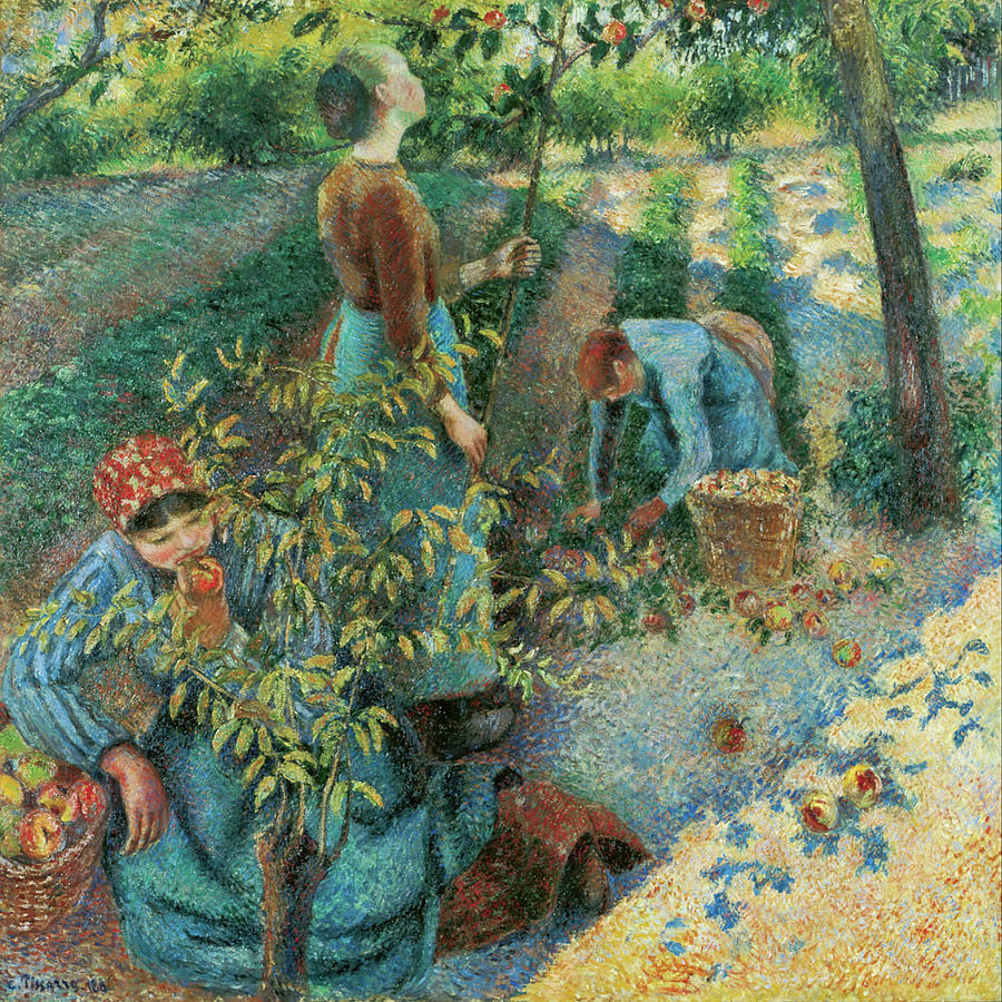 Apple Picking #4 Painting by Camille Pissarro Apple Picking #4 Painting by Camille Pissarro