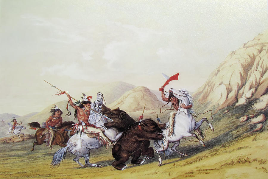 George Catlin Painting - Attacking the Grizzly Bear by George Catlin by Mango Art