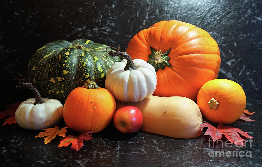 Pumpkin Photograph - Autumn harvest, diverse assortment of pumpkins on a black marble table counter. #4 by Milleflore Images