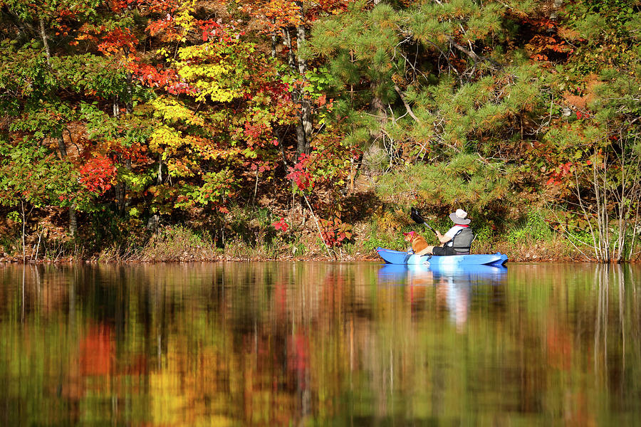 Autumn Kayaking #4 Photograph by Brook Burling