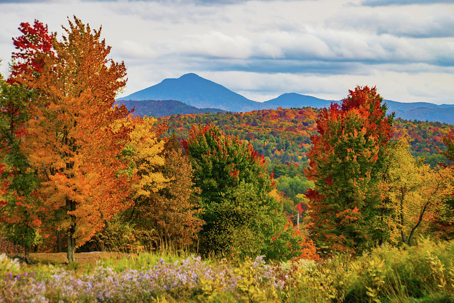 Autumn scene in Vermont #4 Photograph by Ann Moore