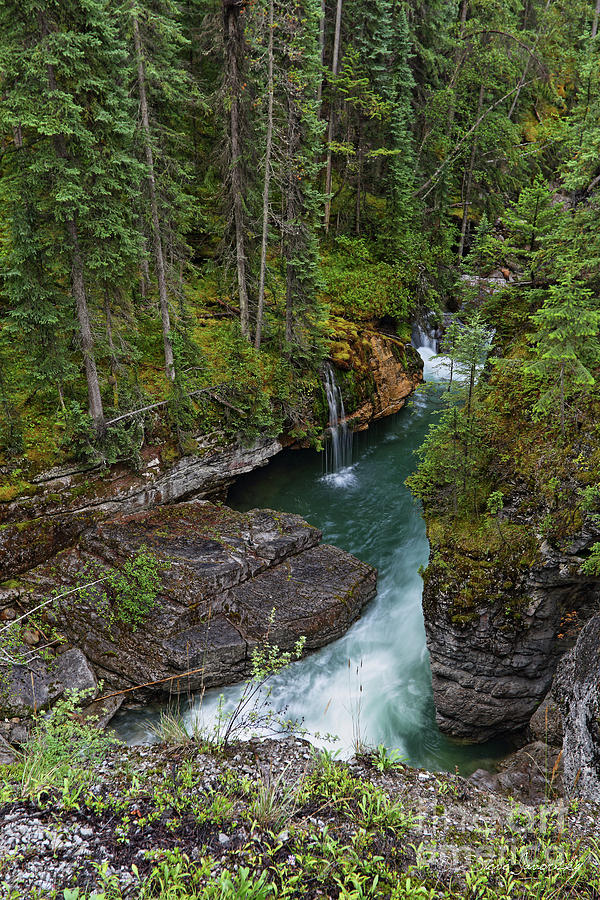 Banff and Jasper National Park #4 Photograph by Steve Javorsky