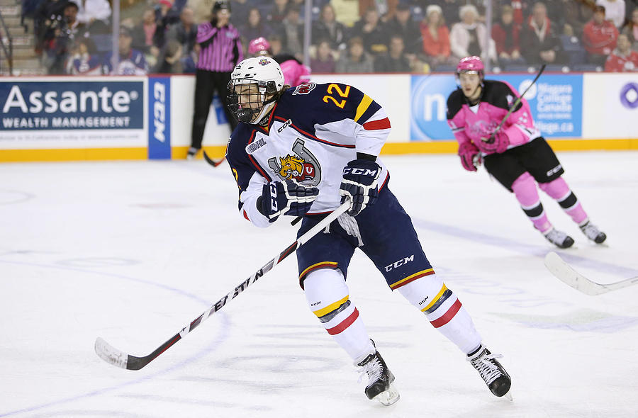 Barrie Colts v Niagara IceDogs Photograph by Vaughn Ridley