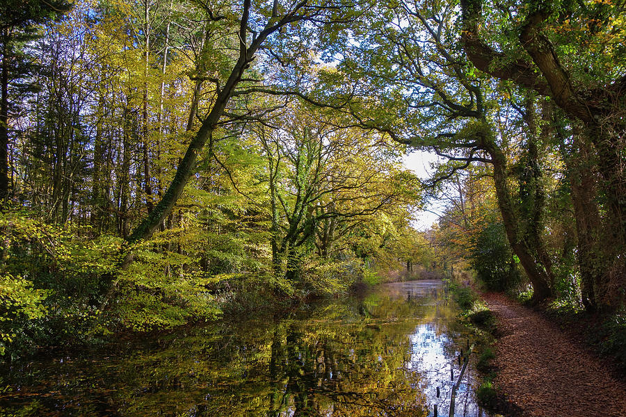 Fall Photograph - Basingstoke Canal Autumn #4 by Philip Enticknap