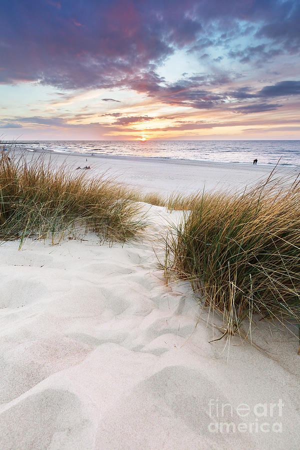 Beach grass on dune, Baltic sea at sunset #4 Photograph by Michal Bednarek