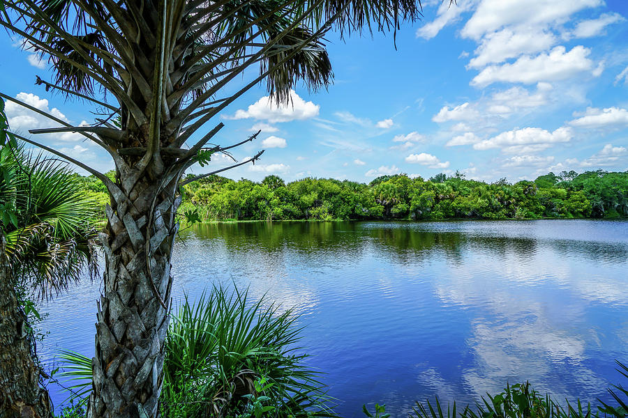 Water Photograph - Beautiful Calm Waters by Ric Schafer Water Photograph - Beautiful Calm Waters by Ric Schafer
