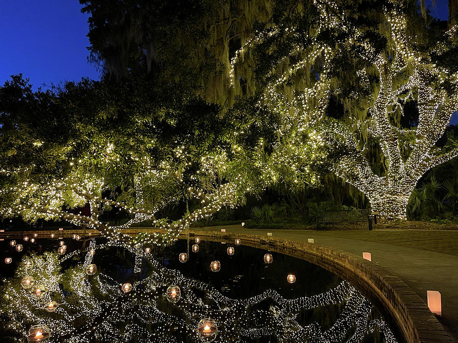 Brookgreen Gardens Festival of a Thousand Candles #5 Photograph by Dawna Moore Photography