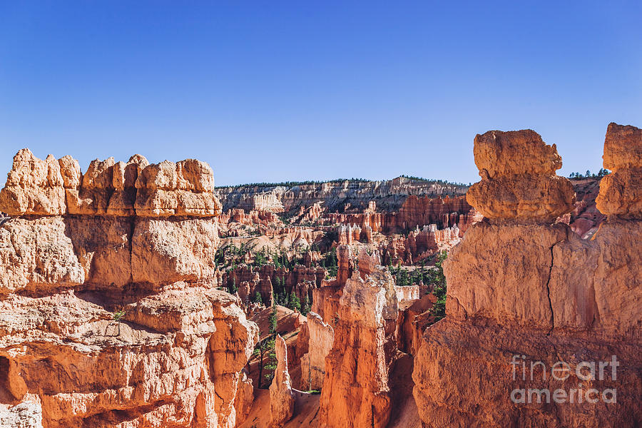 Bryce Canyon landscape, Utah, USA. #4 Photograph by Michal Bednarek
