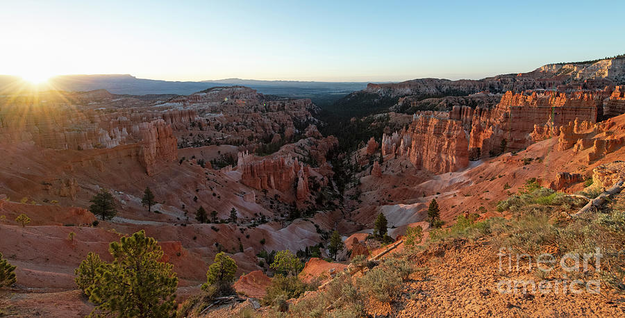Bryce Canyon National Park  #4 Photograph by David Oppenheimer