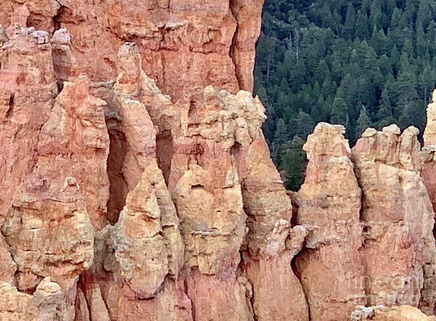Bryce Canyon Digital Art by Tammy Keyes