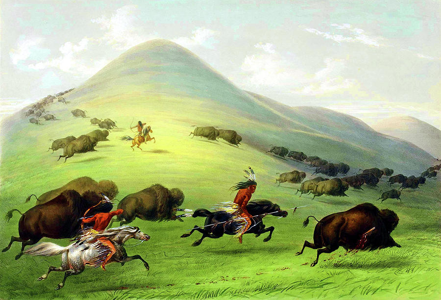 George Catlin Painting - Buffalo Hunt #4 by Jon Baran