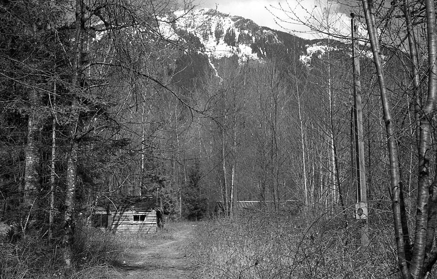 Cabin in the Woods Near Hope BC #4 Photograph by Lawrence Christopher