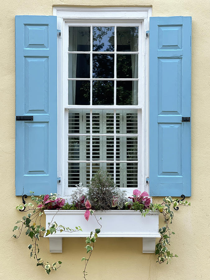 Charleston Window, South Carolina #4 Photograph by Dawna Moore Photography