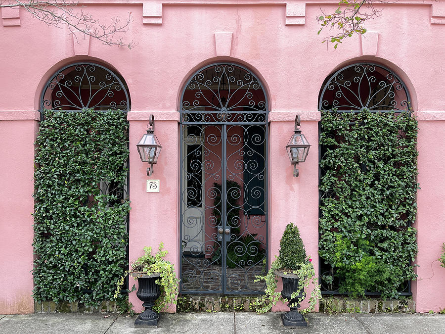 Charleston Wrought Iron Garden Gate, South Carolina #4 Photograph by Dawna Moore Photography