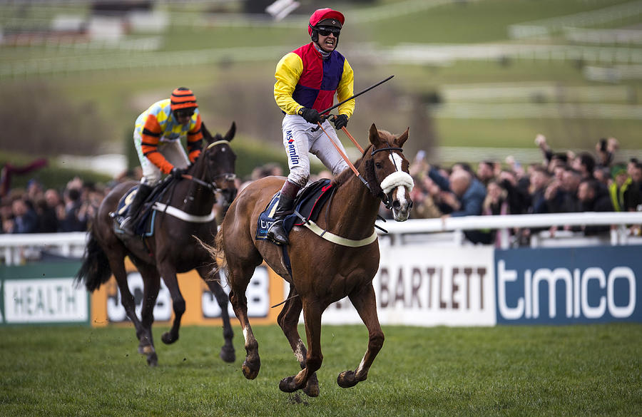 Cheltenham Festival - Gold Cup Day #4 Photograph by Justin Setterfield